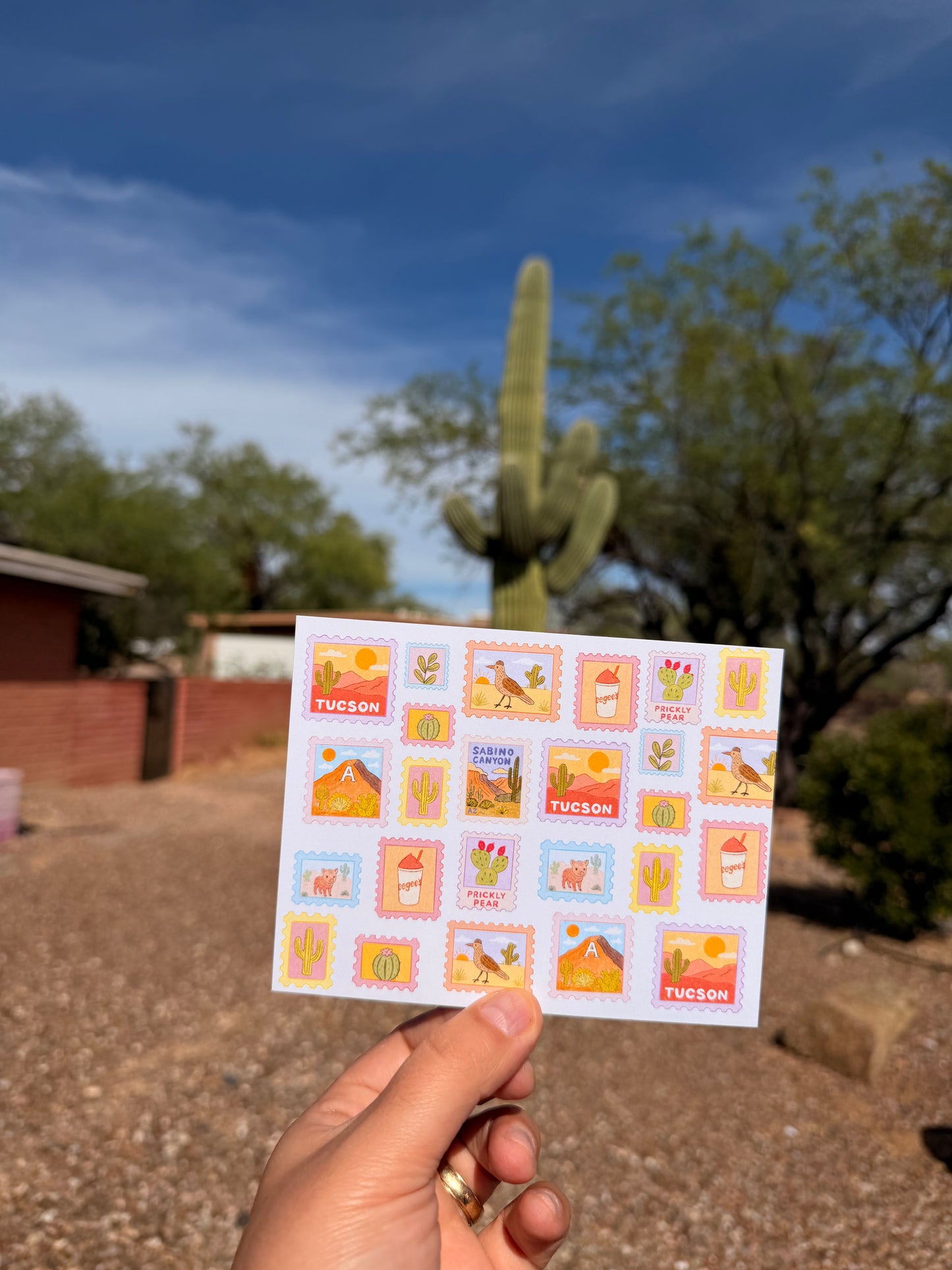 Tucson Postcard