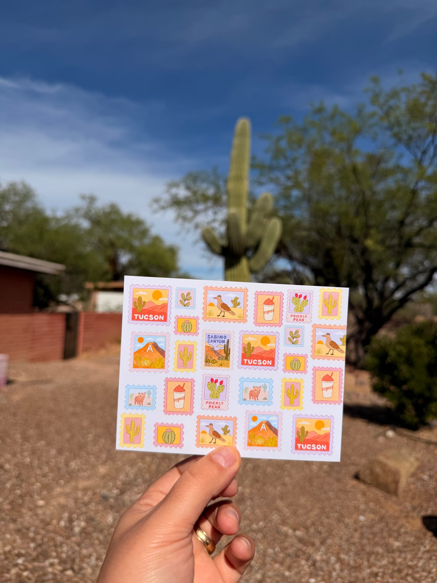 Tucson Postcard