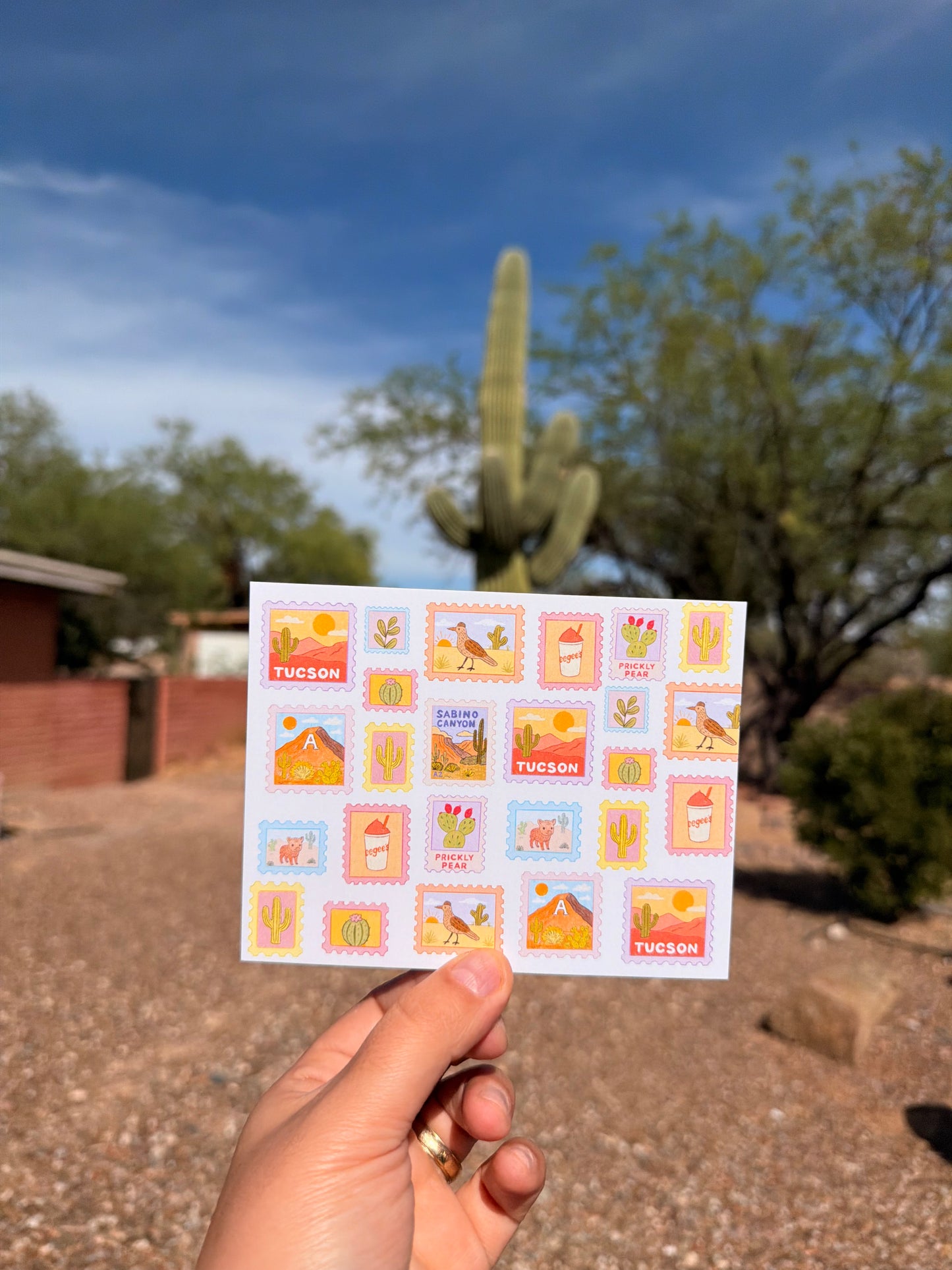 Tucson Postcard