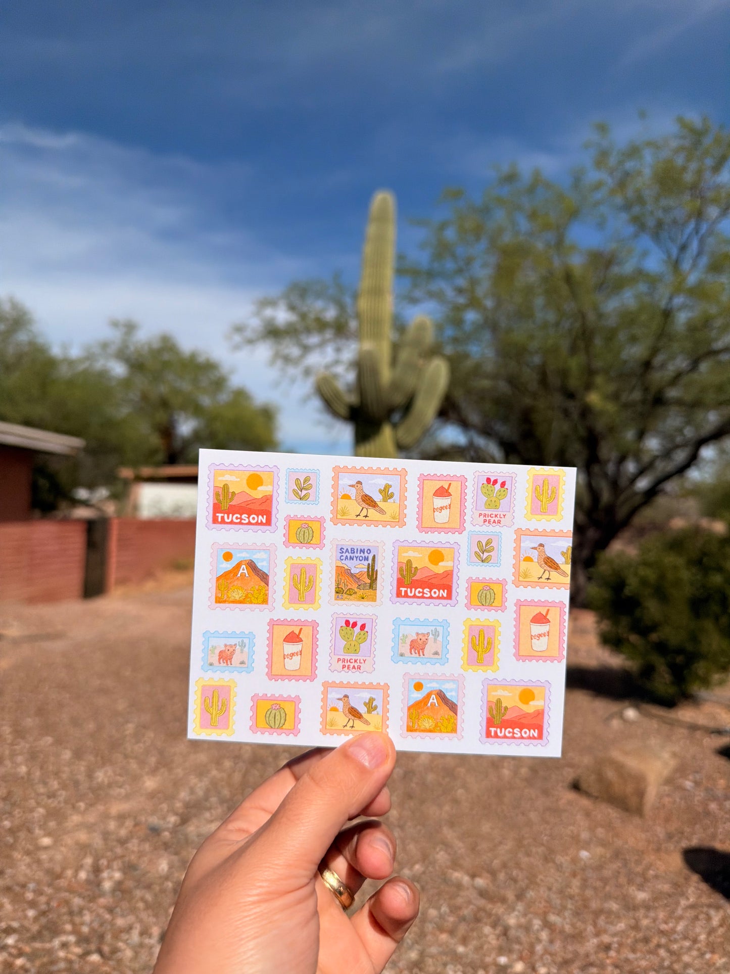 Tucson Postcard